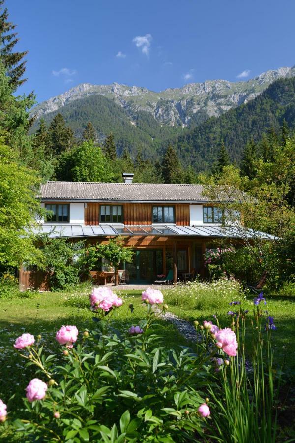 Petra Maria Soelle - Ferienhaus Sehr Privat Presseggersee Kültér fotó